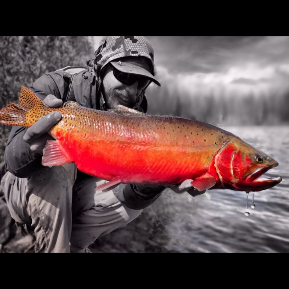 flyfishcolorado